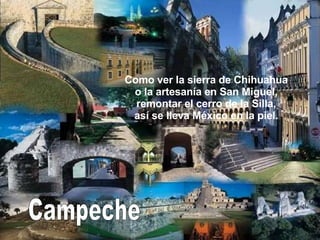 Campeche Como ver la sierra de Chihuahua o la artesanía en San Miguel, remontar el cerro de la Silla, así se lleva México en la piel. 