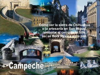 Campeche Como ver la sierra de Chihuahua o la artesanía en San Miguel, remontar el cerro de la Silla, así se lleva México en la piel. 