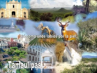 así como unos labios por la piel, Tamaulipas 