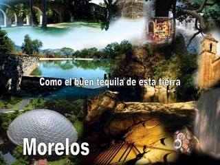 Como el buen tequila de esta tierra Morelos 