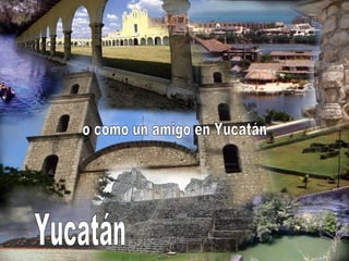 o como un amigo en Yucatán Yucatán 