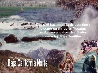 Baja California Norte Como el buen tequila de esta tierra o como un amigo en Yucatán en Aguascalientes  deshilados o lana tejida en Teotitlán, 