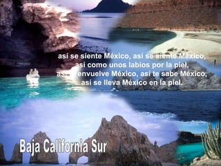 Baja California Sur así se siente México, así se siente México, así como unos labios por la piel, así te envuelve México, así te sabe México, así se lleva México en la piel. 