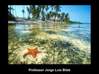 Professor Jorge Luís Bilek 