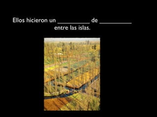 Ellos hicieron un _________ de _________
                 entre las islas.
 