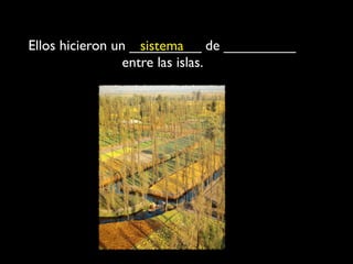 Ellos hicieron un _________ de _________
                    sistema
                 entre las islas.
 