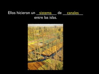 Ellos hicieron un _________ de _________
                    sistema       canales
                 entre las islas.
 