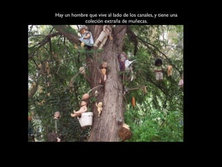 Hay un hombre que vive al lado de los canales, y tiene una
            coleción extraña de muñecas.
 