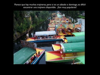 Parece que hay muchas trajineras, pero si es un sábado o domingo, es difícil
         encontrar una trajinera disponible. ¡Son muy populares!
 