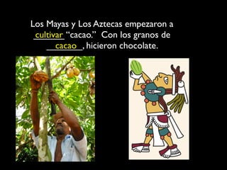 Los Mayas y Los Aztecas empezaron a
 ______ “cacao.” Con los granos de
 cultivar
    _______, hicieron chocolate.
       cacao
 