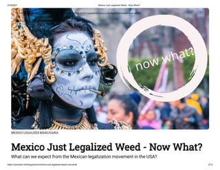 3/18/2021 Mexico Just Legalized Weed - Now What?
https://cannabis.net/blog/opinion/mexico-just-legalized-weed-now-what 2/13
MEXICO LEGALIZES MARIJUANA
Mexico Just Legalized Weed - Now What?
What can we expect from the Mexican legalization movement in the USA?
 Edit Article (https://cannabis.net/mycannabis/c-blog-entry/update/mexico-just-legalized-weed-now-what)
 Article List (https://cannabis.net/mycannabis/c-blog)
 