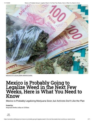 Mexico Legalizes Weed, Now What?