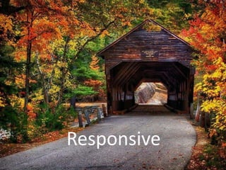 Responsive
 