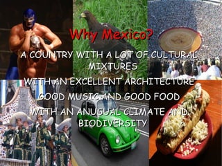 A COUNTRY WITH A LOT OF CULTURAL MIXTURES WITH AN  EXCELLENT ARCHITECTURE GOOD MUSIC AND GOOD FOOD WITH AN ANUSUAL CLIMATE AND BIODIVERSITY Why Mexico? 