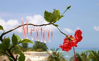 Mexico Powerpoint by Lia 