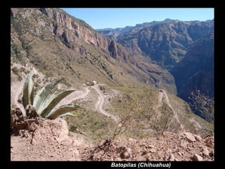 Batopilas (Chihuahua) 