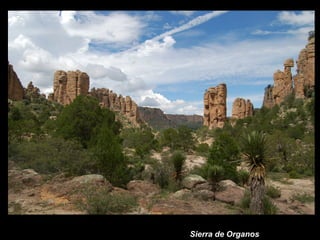Sierra de Organos 