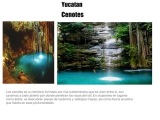 Yucatan Los cenotes es un territorio formado por ríos subterráneos que se unen entre sí, son cavernas a cielo abierto por donde penetran los rayos del sol. En ocasiones en lugares como éstos, se descubren piezas de cerámica y vestigios mayas, así como fauna acuática que habita en esas profundidades Cenotes 