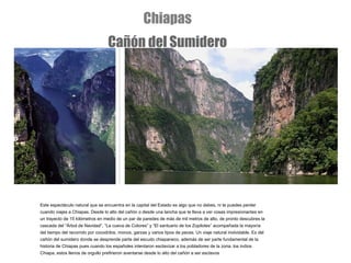 Este espectáculo natural que se encuentra en la capital del Estado es algo que no debes, ni te puedes perder cuando viajes a Chiapas. Desde lo alto del cañón o desde una lancha que te lleva a ver cosas impresionantes en un trayecto de 15 kilómetros en medio de un par de paredes de más de mil metros de alto, de pronto descubres la cascada del “Árbol de Navidad”, “La cueva de Colores” y “El santuario de los Zopilotes” acompañada la mayoría del tiempo del recorrido por cocodrilos, monos, garzas y varios tipos de peces. Un viaje natural inolvidable. Es del cañón del sumidero donde se desprende parte del escudo chiapaneco, además de ser parte fundamental de la historia de Chiapas pues cuando los españoles intentaron esclavizar a los pobladores de la zona, los indios Chiapa, estos llenos de orgullo prefirieron aventarse desde lo alto del cañón a ser esclavos Chiapas Cañón del Sumidero 