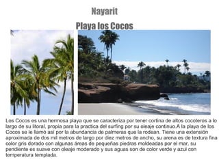 Los Cocos es una hermosa playa que se caracteriza por tener cortina de altos cocoteros a lo largo de su litoral, propia para la practica del surfing por su oleaje continuo.A la playa de los Cocos se le llamó así por la abundancia de palmeras que la rodean. Tiene una extensión aproximada de dos mil metros de largo por diez metros de ancho, su arena es de textura fina color gris dorado con algunas áreas de pequeñas piedras moldeadas por el mar, su pendiente es suave con oleaje moderado y sus aguas son de color verde y azul con temperatura templada. Nayarit Playa los Cocos 