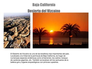 El Desierto de Vizcaíno es una de las biosferas mas importantes del país. Localizado a la mitad de la península de Baja California, es hogar de numerosas especies endémicas como el berrendo, los cedros, bosque de cardones gigantes, etc. También se localizan ahí los santuarios de la ballena gris y lugares arqueológicos con pinturas rupestres. Baja California Desierto del Vizcaíno 