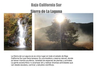 La Sierra de La Laguna es es único lugar en todo el estado de Baja California Sur que tiene bosque. Es una biosfera y reserva natural, donde se tienen mantos acuíferos, variedad de especies de plantas y animales. La gente acostumbra ir a acampar ahí y realizar diversas actividades que van desde escalara, caminar y estudios científicos. Baja California Sur Sierra de La Laguna 