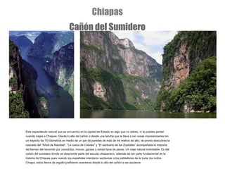 Este espectáculo natural que se encuentra en la capital del Estado es algo que no debes, ni te puedes perder cuando viajes a Chiapas. Desde lo alto del cañón o desde una lancha que te lleva a ver cosas impresionantes en un trayecto de 15 kilómetros en medio de un par de paredes de más de mil metros de alto, de pronto descubres la cascada del “Árbol de Navidad”, “La cueva de Colores” y “El santuario de los Zopilotes” acompañada la mayoría del tiempo del recorrido por cocodrilos, monos, garzas y varios tipos de peces. Un viaje natural inolvidable. Es del cañón del sumidero donde se desprende parte del escudo chiapaneco, además de ser parte fundamental de la historia de Chiapas pues cuando los españoles intentaron esclavizar a los pobladores de la zona, los indios Chiapa, estos llenos de orgullo prefirieron aventarse desde lo alto del cañón a ser esclavos Chiapas Cañón del Sumidero 
