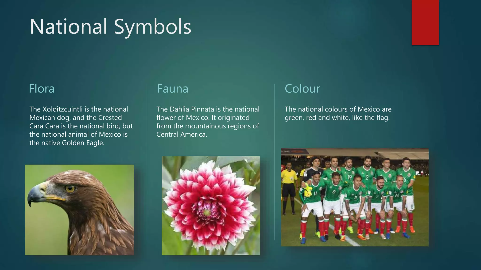 Mexico Presentation PPT mexico-presentation-ppt
