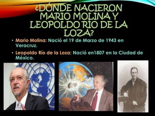 ¿DÓNDE NACIERON
MARIO MOLINA Y
LEOPOLDO RÍO DE LA
LOZA?
• Mario Molina: Nació el 19 de Marzo de 1943 en
Veracruz.
• Leopoldo Río de la Loza: Nació en1807 en la Ciudad de
México.
 
