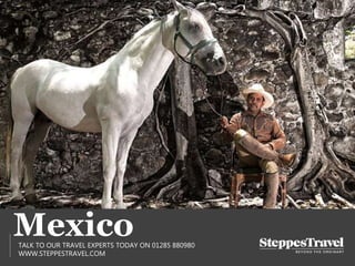 MexicoTALK TO OUR TRAVEL EXPERTS TODAY ON 01285 880980
WWW.STEPPESTRAVEL.COM
 