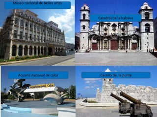 Museo nacional de bellas artes
Acuario nacional de cuba
Catedral de la habana
Castillo de la punta
 