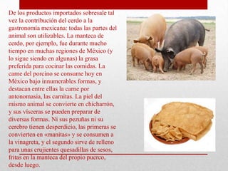 De los productos importados sobresale tal
vez la contribución del cerdo a la
gastronomía mexicana: todas las partes del
animal son utilizables. La manteca de
cerdo, por ejemplo, fue durante mucho
tiempo en muchas regiones de México (y
lo sigue siendo en algunas) la grasa
preferida para cocinar las comidas. La
carne del porcino se consume hoy en
México bajo innumerables formas, y
destacan entre ellas la carne por
antonomasia, las carnitas. La piel del
mismo animal se convierte en chicharrón,
y sus vísceras se pueden preparar de
diversas formas. Ni sus pezuñas ni su
cerebro tienen desperdicio, las primeras se
convierten en «manitas» y se consumen a
la vinagreta, y el segundo sirve de relleno
para unas crujientes quesadillas de sesos,
fritas en la manteca del propio puerco,
desde luego.

 