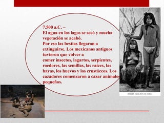 7.500 a.C. –
El agua en los lagos se secó y mucha
vegetación se acabó.
Por eso las bestias llegaron a
extinguirse. Los mexicanos antiguos
tuvieron que volver a
comer insectos, lagartos, serpientes,
roedores, las semillas, las raíces, las
bayas, los huevos y los crustáceos. Los
cazadores comenzaron a cazar animales
pequeños.

 