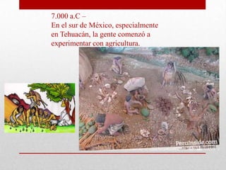 7.000 a.C –
En el sur de México, especialmente
en Tehuacán, la gente comenzó a
experimentar con agricultura.

 