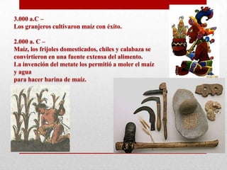 3.000 a.C –
Los granjeros cultivaron maíz con éxito.
2.000 a. C –
Maíz, los frijoles domesticados, chiles y calabaza se
convirtieron en una fuente extensa del alimento.
La invención del metate los permitió a moler el maíz
y agua
para hacer harina de maíz.

 