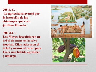 200 d. C. –
La agricultura avanzó por
la invención de las
chinampas que eran
jardines flotantes.
500 d.C –
Los Mayas descubrieron un
árbol de cacao en la selva
tropical. Ellos adoraron el
árbol y usaron el cacao para
hacer una bebida agridulce
y amargo.

 