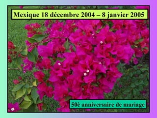 Mexique 18 décembre 2004 – 8 janvier 2005
50è anniversaire de mariage
 