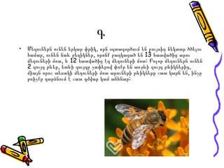 Գ Մեղուներն ունեն երկար փթիկ, որն օգտագործում են բույսից նեկտար ծծելու համար, ունեն նաև բեղիկներ, որոնք բաղկացած են 13 հատվածից արու մեղուների մոտ, և 12 հատվածից էգ մեղուների մոտ: Բոլոր մեղուներն ունեն 2 զույգ թևեր, ետևի զույգը չափերով փոքր են առջևի զույգ թևիկներից, միայն որոշ տեսակի մեղուների մոտ արուների թևիկները շատ կարճ են, ինչը թռիչքը դարձնում է շատ դժվար կամ անհնար:  