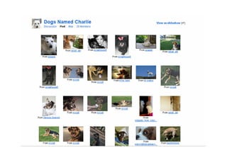 Meyer Memorial Trust