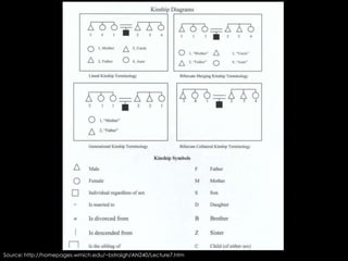 Source: http://homepages.wmich.edu/~bstraigh/AN240/Lecture7.htm
 