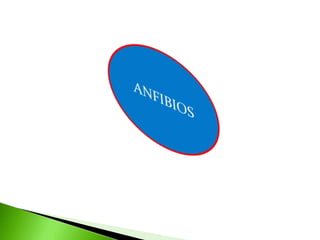 ANFIBIOS