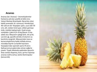 Meyve ve terevezler.pptx