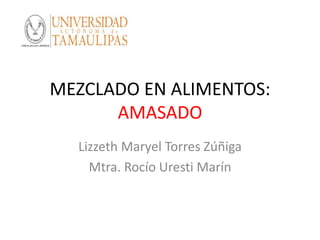 MEZCLADO EN ALIMENTOS:
AMASADO
Lizzeth Maryel Torres Zúñiga
Mtra. Rocío Uresti Marín
 