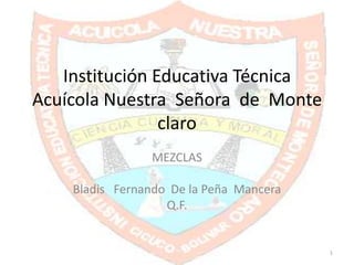 Institución Educativa Técnica
Acuícola Nuestra Señora de Monte
claro
MEZCLAS
Bladis Fernando De la Peña Mancera
Q.F.

1

 