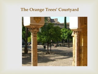 The Orange Trees' Courtyard
 