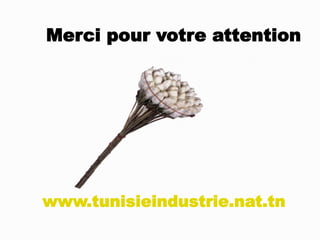 Merci pour votre attention




www.tunisieindustrie.nat.tn
 