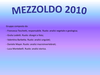 MEZZOLDO 2010 Gruppo composto da: ,[object Object]