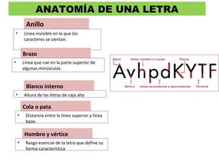 ANATOMÍA DE UNA LETRA
Anillo
• Línea invisible en la que los
caracteres se sientan.
Brazo
• Línea que cae en la parte superior de
algunas minúsculas.
Blanco interno
• Altura de las letras de caja alta
Cola o pata
• Distancia entre la línea superior y línea
base.
Hombro y vértice
• Rasgo esencial de la letra que define su
forma característica
 