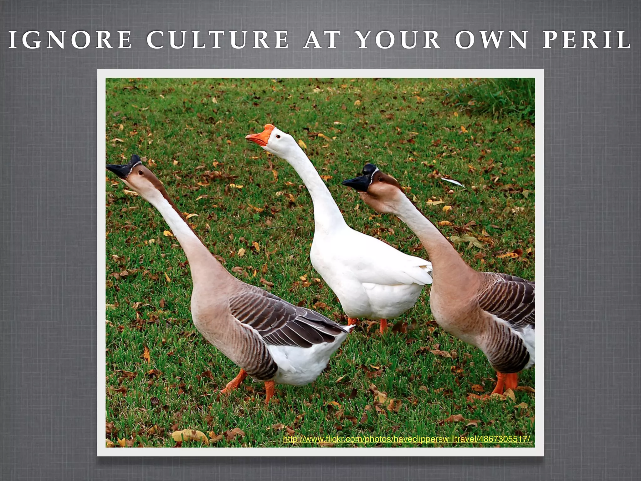 I G N O R E C U LT U R E AT Y O U R O W N P E R I L




                      http://www.ﬂickr.com/photos/haveclipperswilltravel/4867305517/
 