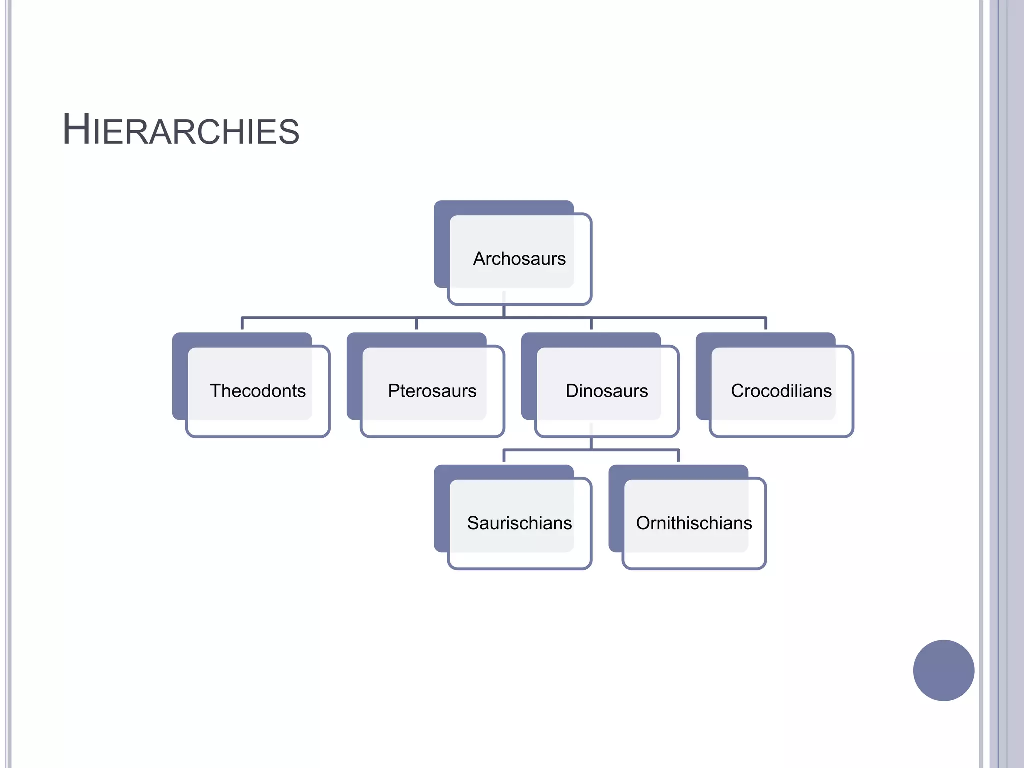 HIERARCHIES
Archosaurs
Thecodonts Pterosaurs Dinosaurs
Saurischians Ornithischians
Crocodilians
 